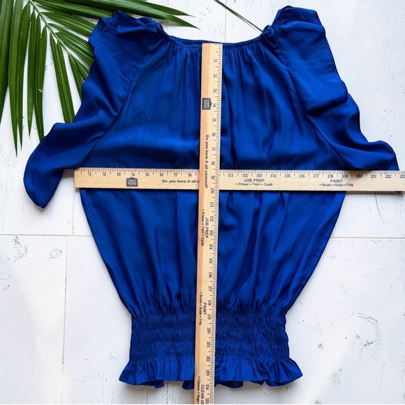 Ramy Brook Keegan Blue Ruffle Sleeve Smocked Waist Blouse Top Size M NWT - Picture 5 of 10